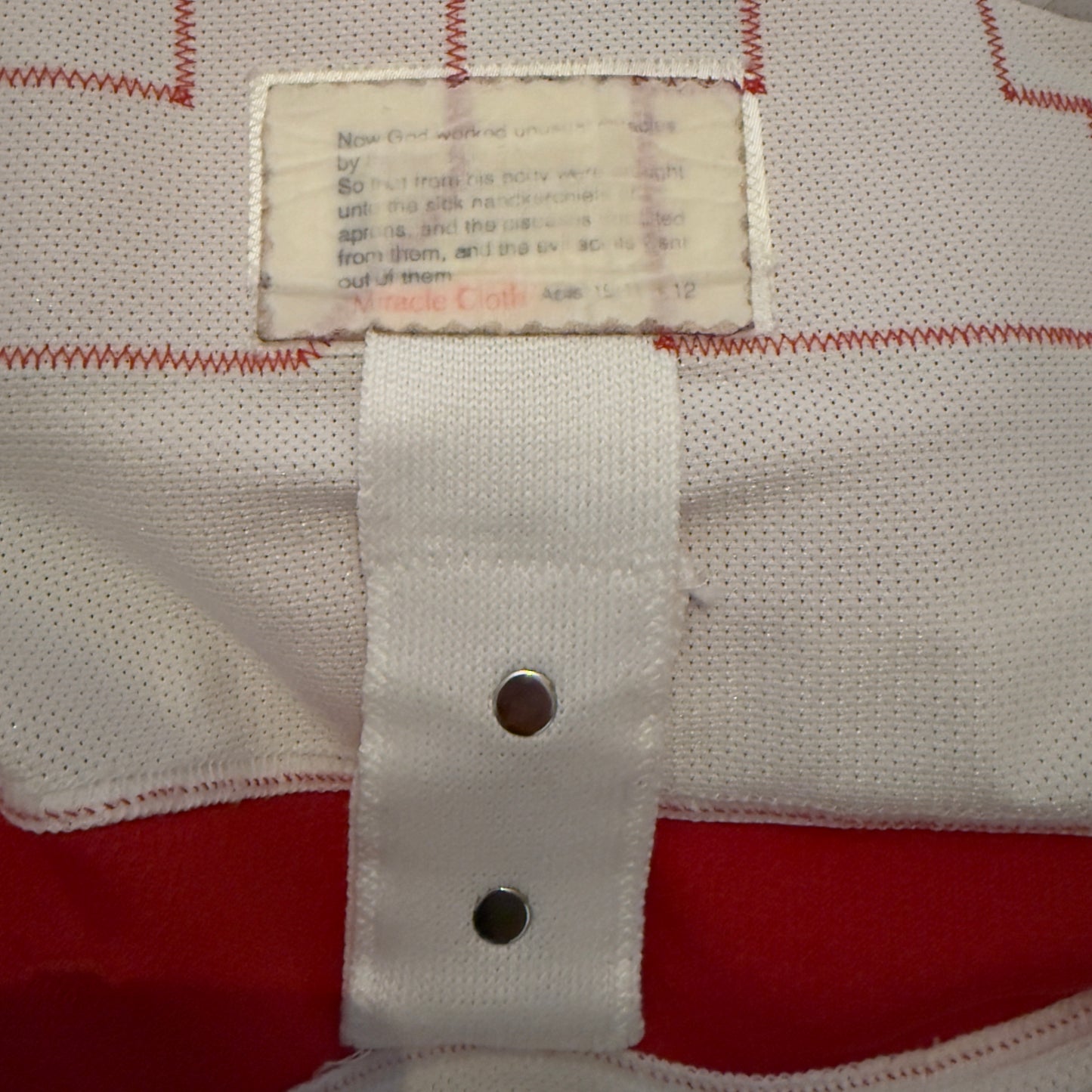 Henrik Zetterberg Game Worn 2009/2010 Detroit Red Wings Jersey