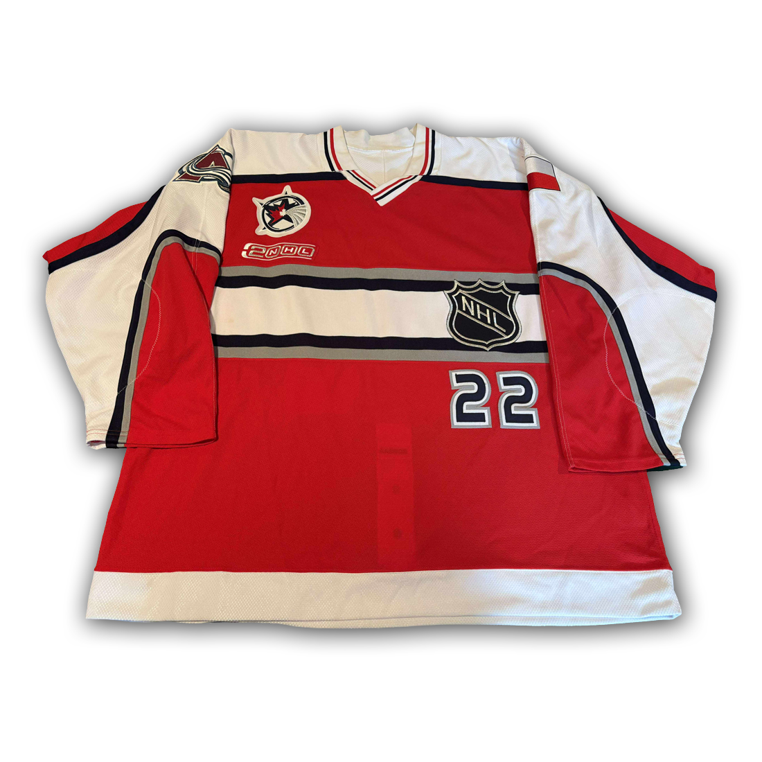 Milan Hejduk Game Worn 2000 NHL All Star Jersey